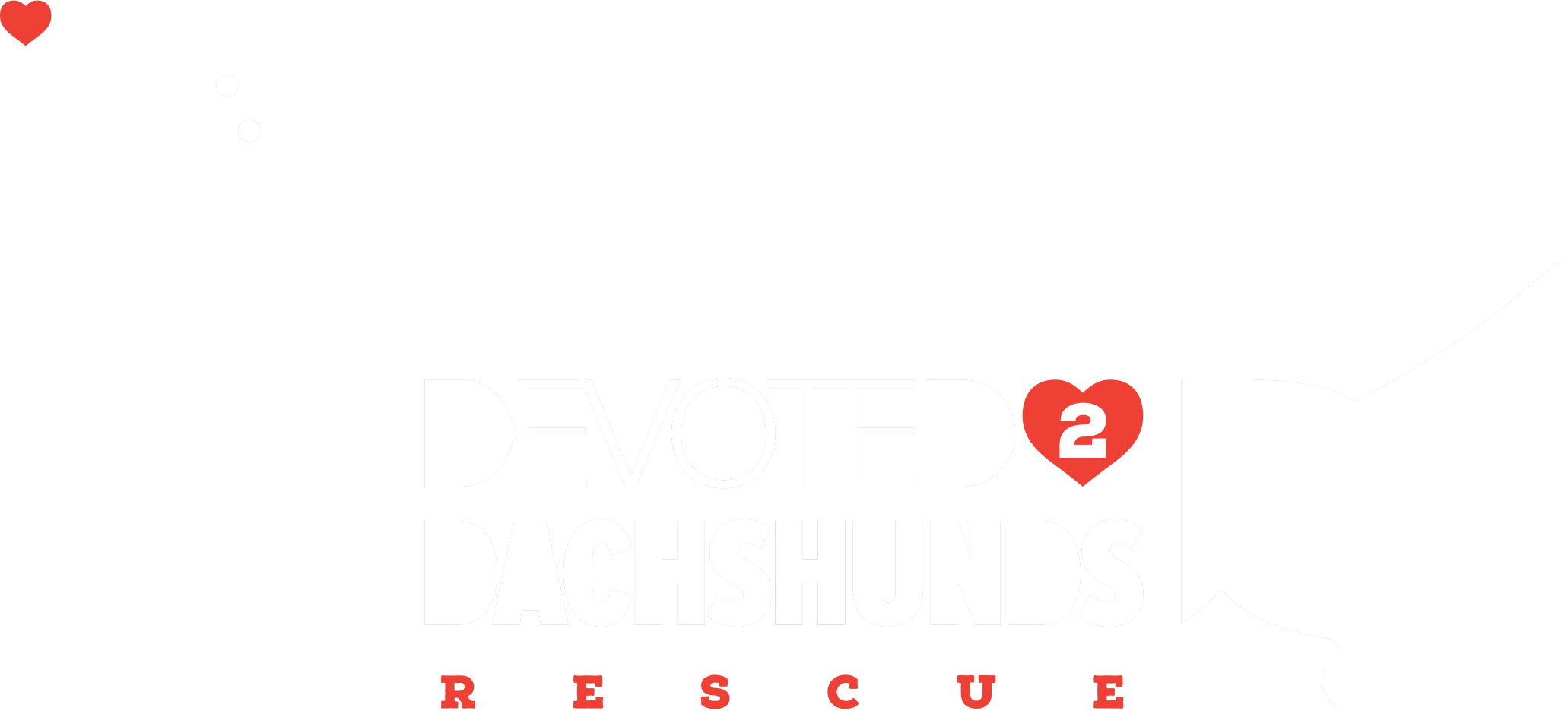Devoted 2 Dachshunds Rescue® home