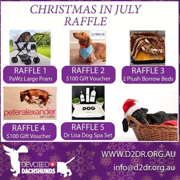 D2DR RAFFLE AT CHRISTMAS IN JULY PARK EVENT - ROTARY PARK WOOLOONGABBA - 10AM - 2PM